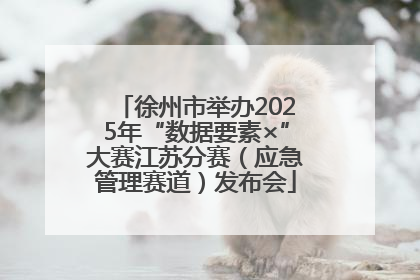 徐州市举办2025年“数据要素×”大赛江苏分赛（应急管理赛道）发布会