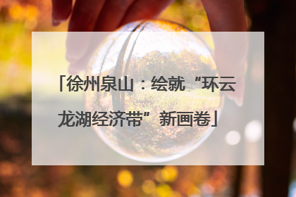 徐州泉山：绘就“环云龙湖经济带”新画卷