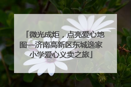 微光成炬，点亮爱心地图—济南高新区东城逸家小学爱心义卖之旅