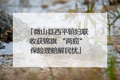 微山县西平镇妇联收获锦旗 “两癌”保险理赔解民忧