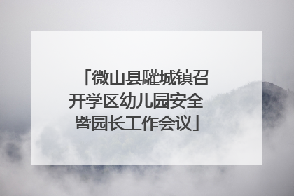 微山县驩城镇召开学区幼儿园安全暨园长工作会议