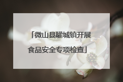微山县驩城镇开展食品安全专项检查