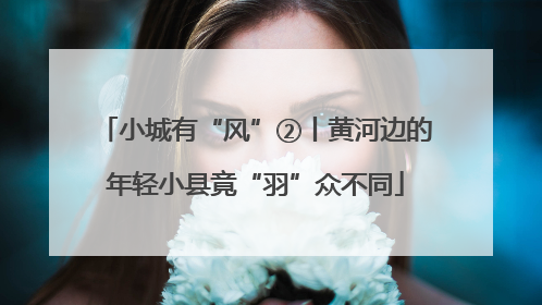 小城有“风”②丨黄河边的年轻小县竟“羽”众不同