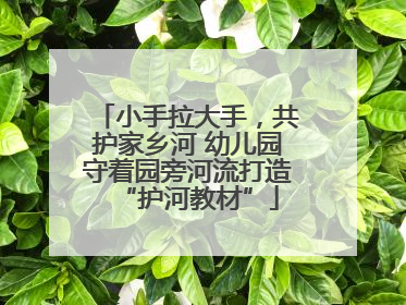 小手拉大手，共护家乡河 幼儿园守着园旁河流打造“护河教材”