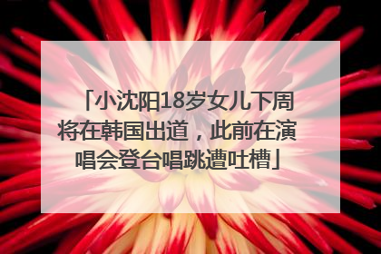 小沈阳18岁女儿下周将在韩国出道，此前在演唱会登台唱跳遭吐槽