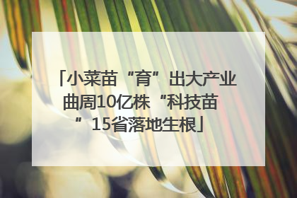 小菜苗“育”出大产业 曲周10亿株“科技苗”15省落地生根