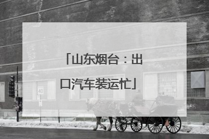 山东烟台：出口汽车装运忙