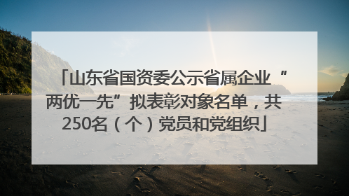 山东省国资委公示省属企业“两优一先”拟表彰对象名单，共250名（个）党员和党组织