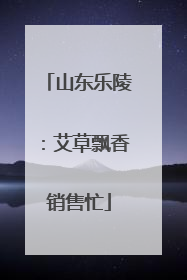 山东乐陵：艾草飘香销售忙