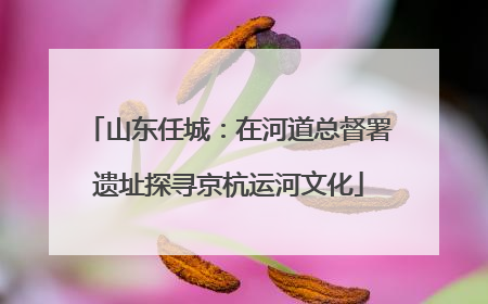 山东任城：在河道总督署遗址探寻京杭运河文化