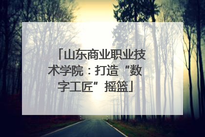 山东商业职业技术学院：打造“数字工匠”摇篮