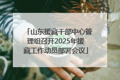 山东援藏干部中心管理组召开2025年援藏工作动员部署会议