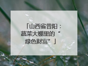 山西省昔阳：蔬菜大棚里的“绿色财富”