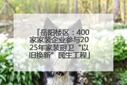 岳阳楼区：400家家装企业参与2025年家装厨卫“以旧换新”民生工程