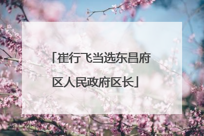 崔行飞当选东昌府区人民政府区长