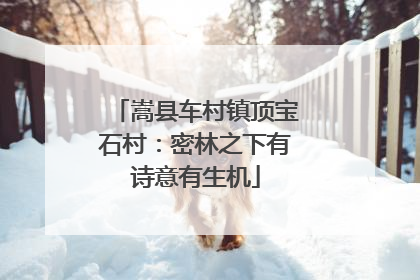 嵩县车村镇顶宝石村：密林之下有诗意有生机