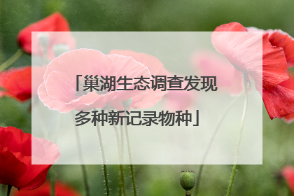 巢湖生态调查发现多种新记录物种