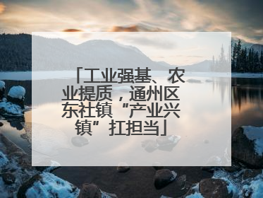 工业强基、农业提质，通州区东社镇“产业兴镇”扛担当