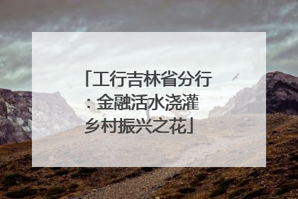 工行吉林省分行：金融活水浇灌 乡村振兴之花