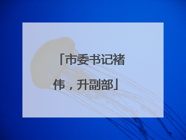 市委书记褚伟，升副部