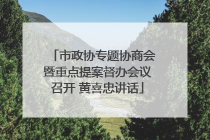 市政协专题协商会暨重点提案督办会议召开 黄喜忠讲话