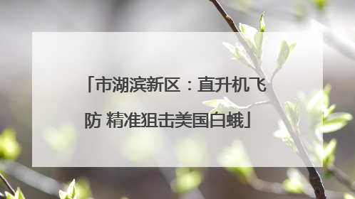 市湖滨新区：直升机飞防 精准狙击美国白蛾