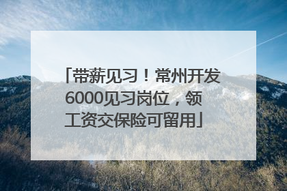带薪见习！常州开发6000见习岗位，领工资交保险可留用