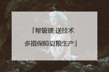 帮管理 送技术 多措保障夏粮生产