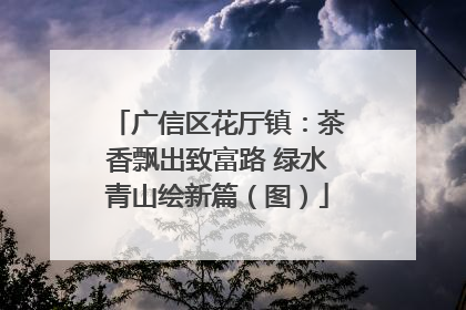 广信区花厅镇：茶香飘出致富路 绿水青山绘新篇（图）