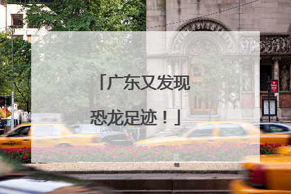 广东又发现恐龙足迹！