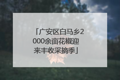 广安区白马乡2000余亩花椒迎来丰收采摘季