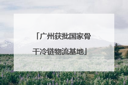 广州获批国家骨干冷链物流基地