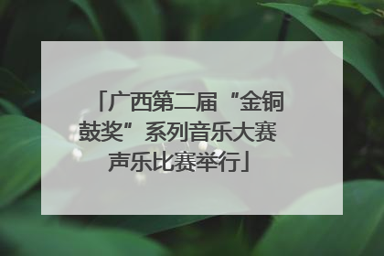 广西第二届“金铜鼓奖”系列音乐大赛声乐比赛举行