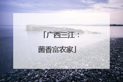 广西三江：菌香富农家