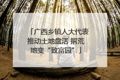 广西乡镇人大代表推动土地盘活 撂荒地变“致富园”