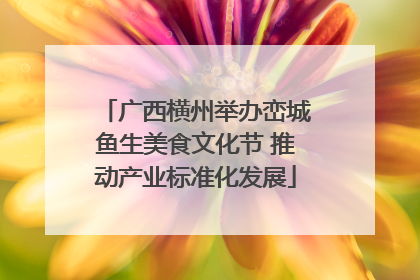 广西横州举办峦城鱼生美食文化节 推动产业标准化发展