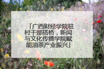 广西财经学院驻村干部搭桥，新闻与文化传播学院赋能油茶产业振兴