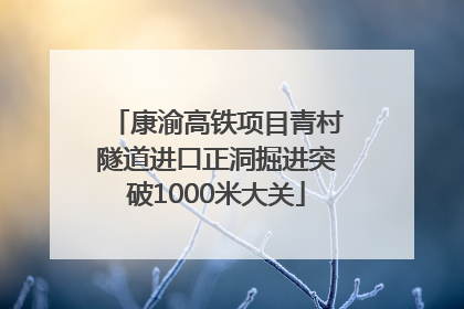 康渝高铁项目青村隧道进口正洞掘进突破1000米大关