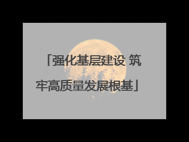 强化基层建设 筑牢高质量发展根基