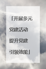 开展多元党建活动 提升党建 引领效能