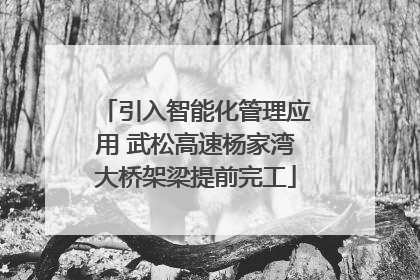 引入智能化管理应用 武松高速杨家湾大桥架梁提前完工