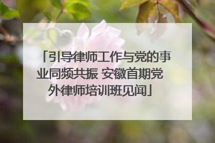 引导律师工作与党的事业同频共振 安徽首期党外律师培训班见闻