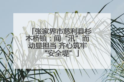 张家界市慈利县杉木桥镇：闻“汛”而动显担当 齐心筑牢“安全堤”