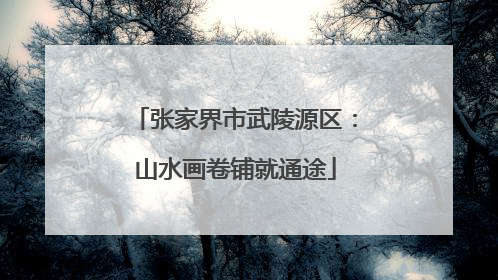 张家界市武陵源区：山水画卷铺就通途