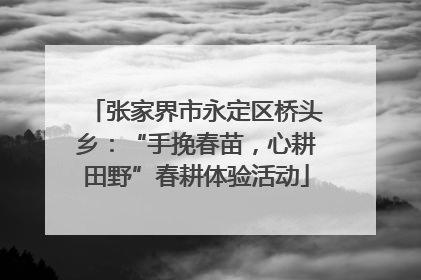 张家界市永定区桥头乡：“手挽春苗，心耕田野”春耕体验活动