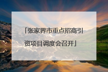 张家界市重点招商引资项目调度会召开