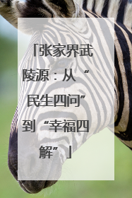 张家界武陵源：从“民生四问”到“幸福四解”