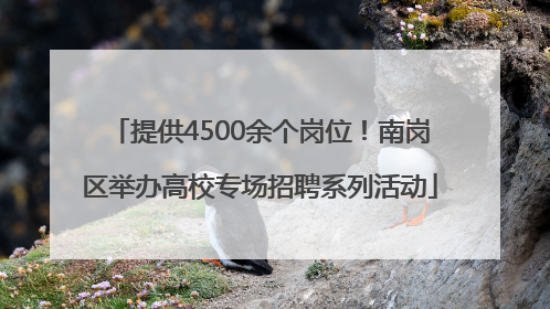 提供4500余个岗位！南岗区举办高校专场招聘系列活动
