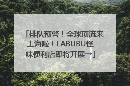 排队预警！全球顶流来上海啦！LABUBU怪味便利店即将开展→