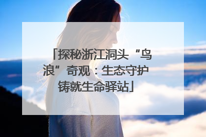 探秘浙江洞头“鸟浪”奇观：生态守护铸就生命驿站
